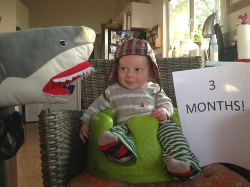 3 months old!